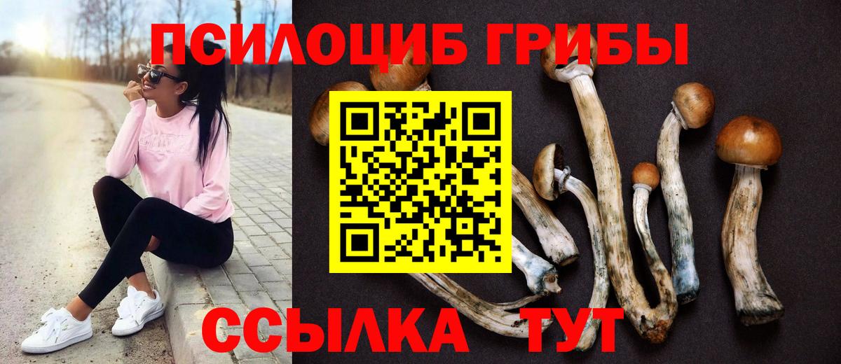 Псилоцибиновые грибы Psilocybe  Вход с VPN  Родники 